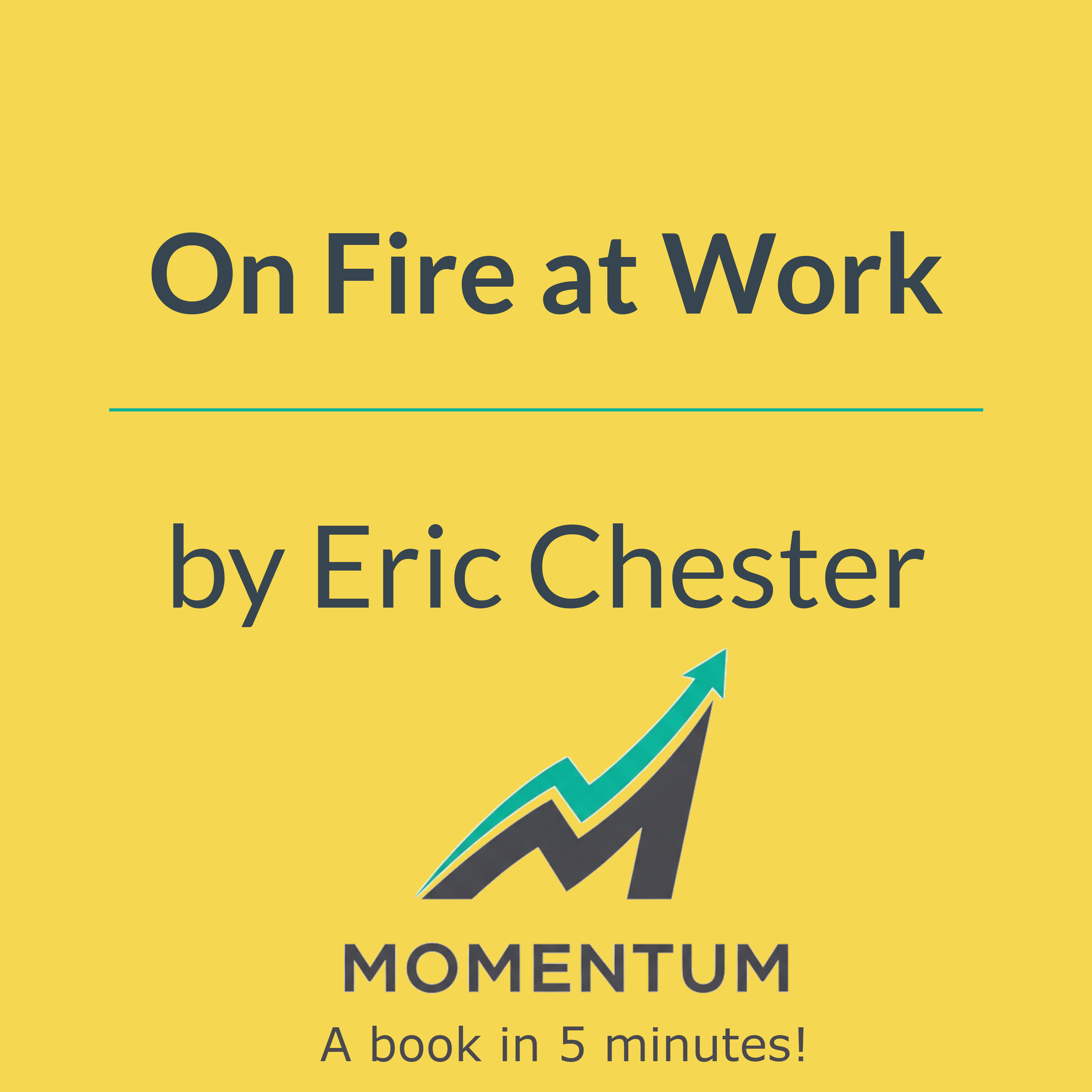 Book cover of On Fire at Work: How Great Companies Ignite Passion in Their People Without Burning Them Out