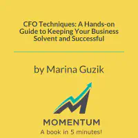 CFO Techniques: A Hands-on Guide to Keeping Your Business Solvent and Successful