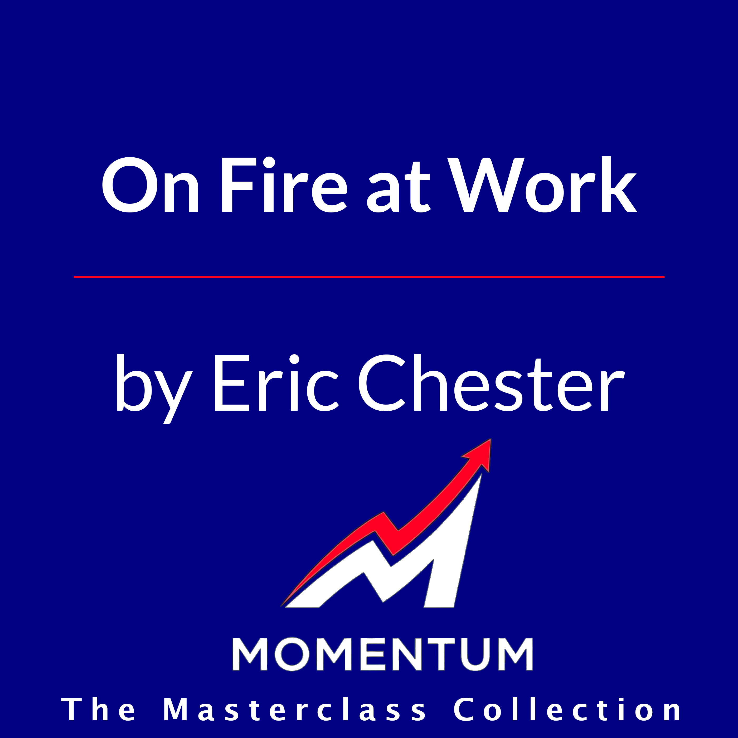 Premium Cover for On Fire at Work: How Great Companies Ignite Passion in Their People Without Burning Them Out